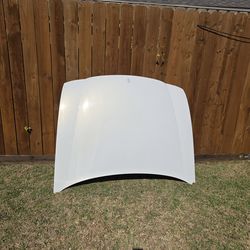 Buick lesabre hood