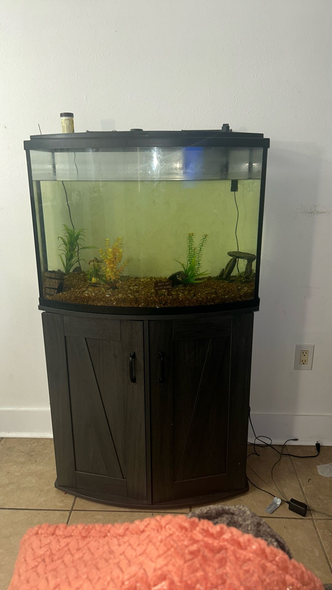 Fish Aquarium 