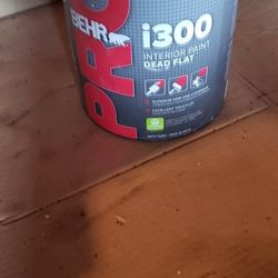 Dead Flat White Gallon Paint