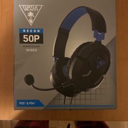 Turtle Beach Headset