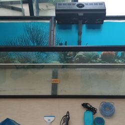 Fish Tank