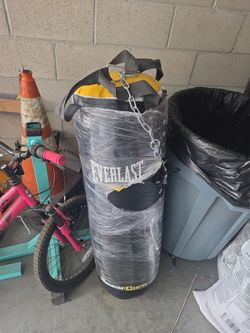 Everlast punching bag