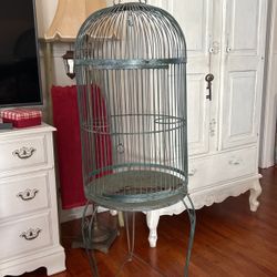 Bird Cage