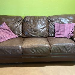 Sleeper Leather Sofa