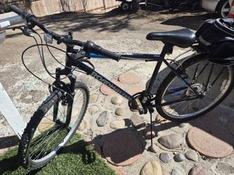 Bicycle for adults