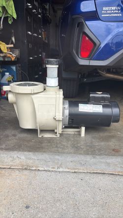 Pool and pond pump