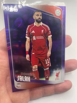 Salah bundle