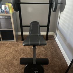 Weight Bench + Weights (older model)