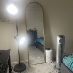 Floor Lamp And Fan
