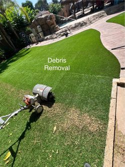Turf Cleaning / Turf Refresh / Turf Maintenance