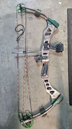 Bear Element Bow