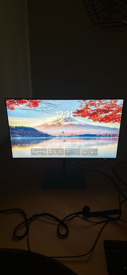 HP Z Monitor 
