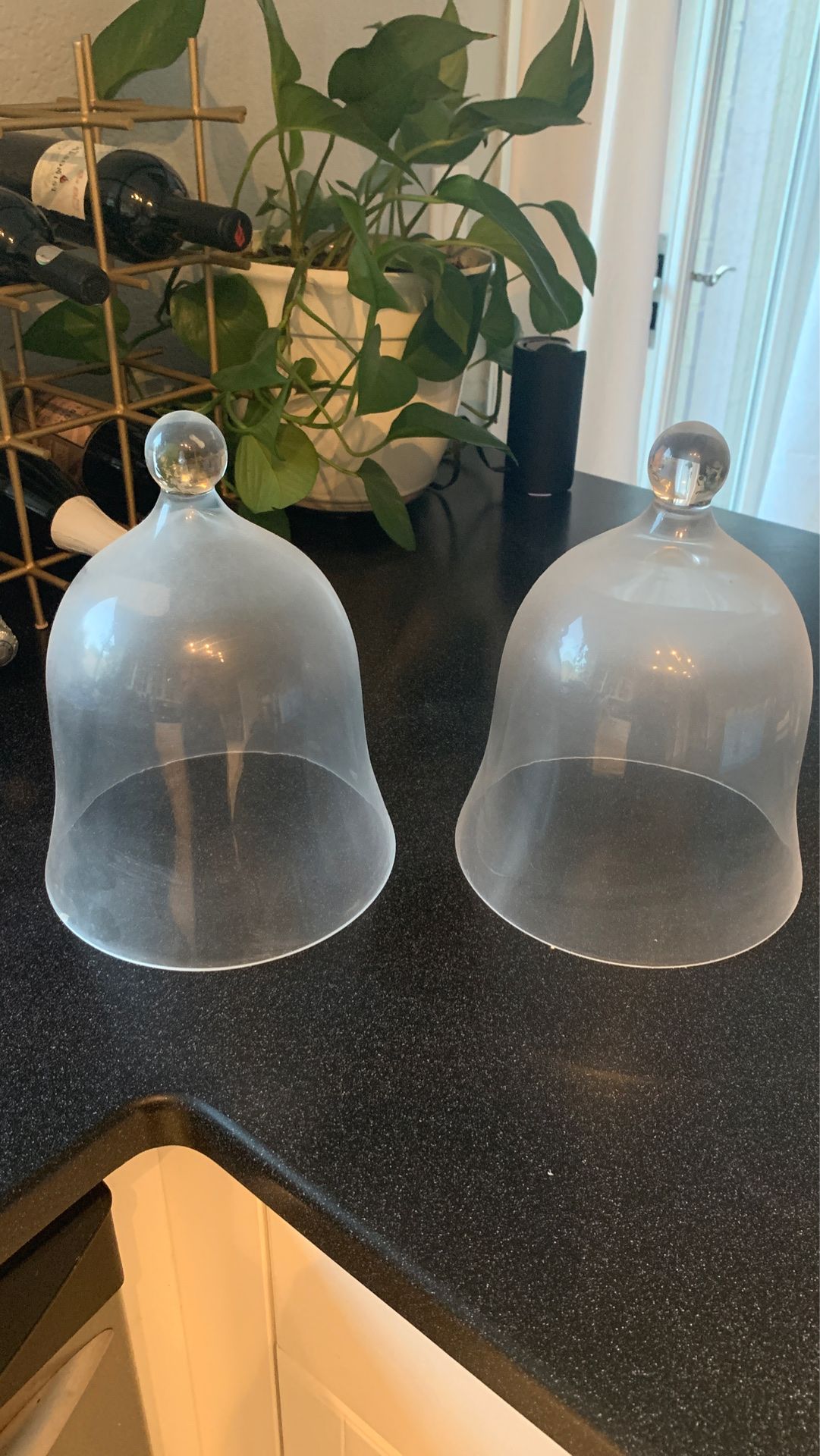 Antique glass cloches