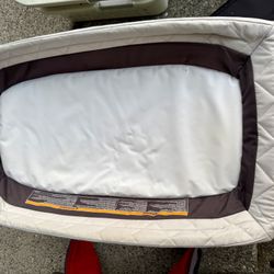 Bouncy Bassinet 