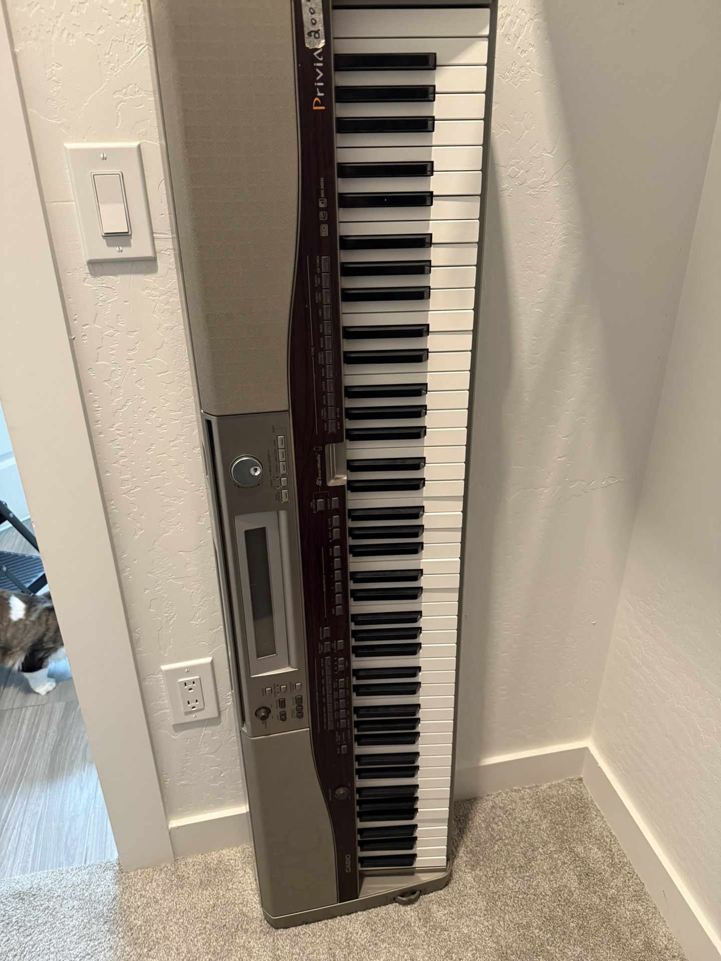 Casio Keyboard