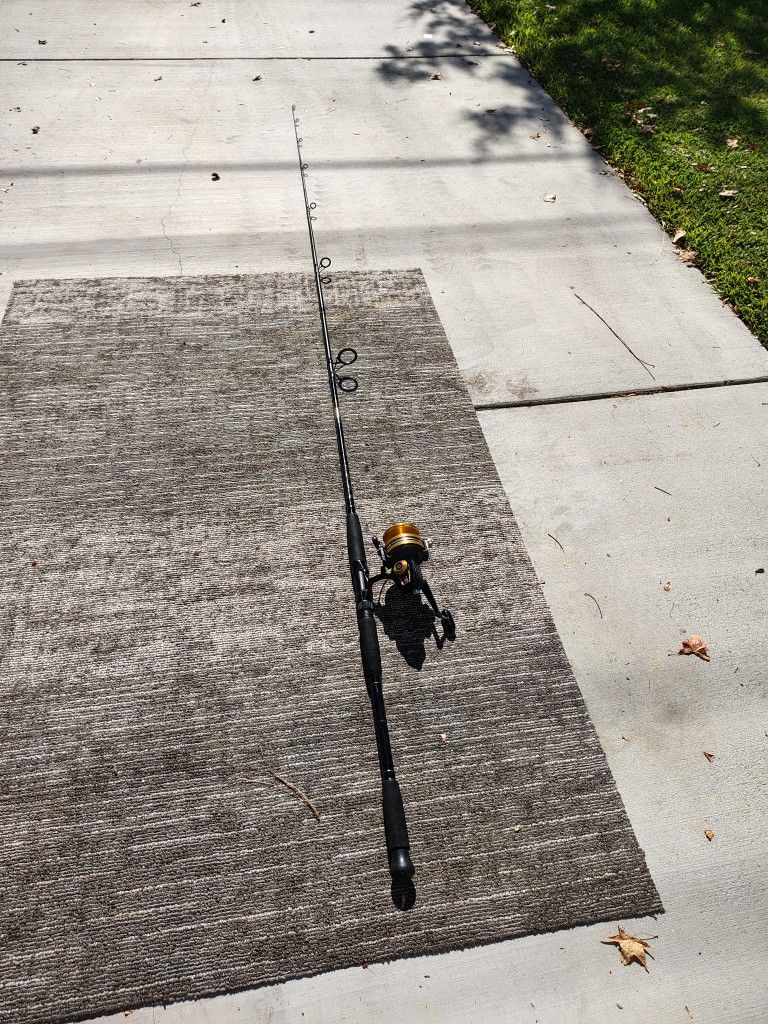 10ft Penn Pursuit II  Fishing Pole / Penn 850ss  4.6:1  Fishing Reel Combo