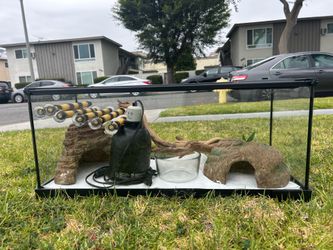 Reptile cage