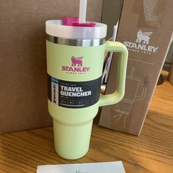 Stanley The Quencher 40 Oz Tumbler Citron Limited Edition Color for Sale in  Charlotte, NC - OfferUp