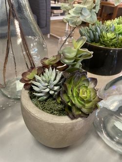 Faux Succulents In Pot