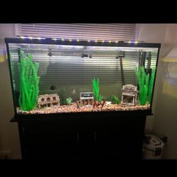 60 Gallon Aquarium With Stand  & Forza FZ9 UV Canister Filter