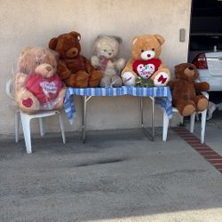 Teddy Bear For Sale 