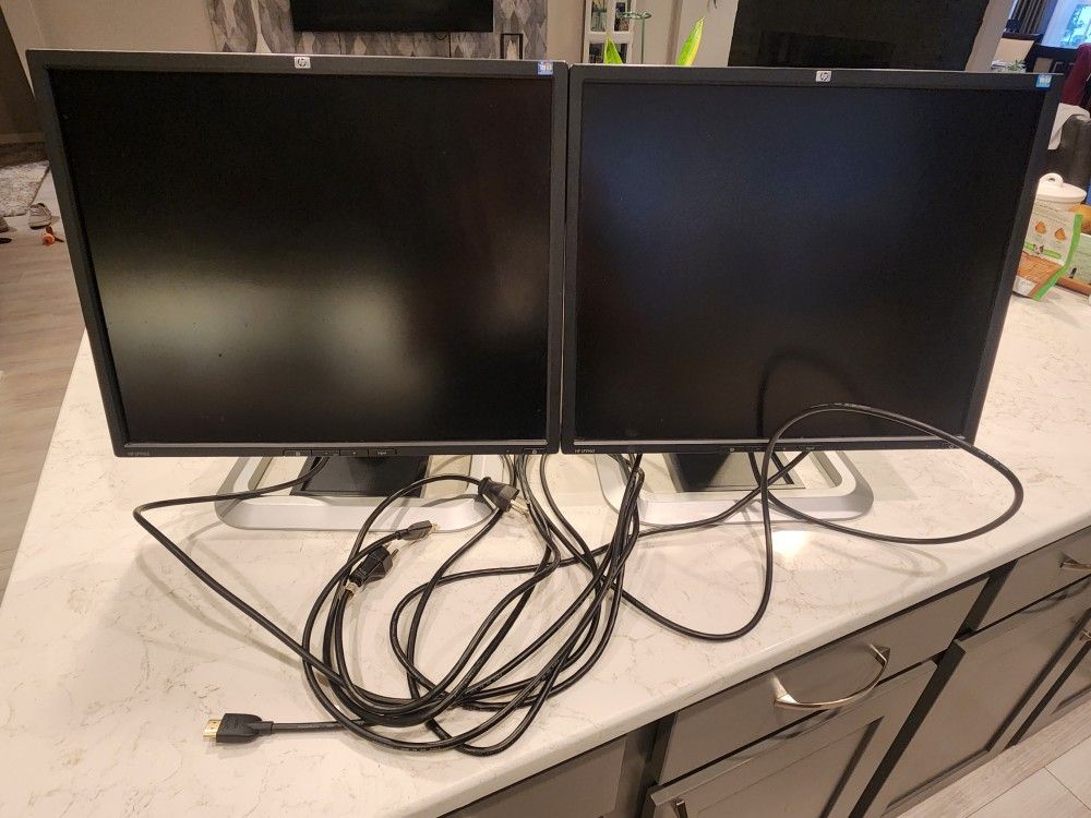 HP LP1965 19" LCD Computer Display with Dual DVI-I Inputs and USB 2.0 Hub