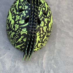 Dinosaur Helmet