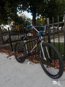 Street co 29er