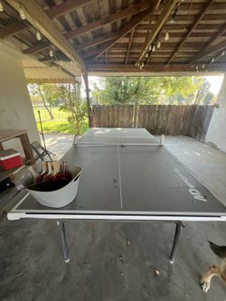 PRO Ping pong table SET