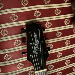 Takamine Gseries 