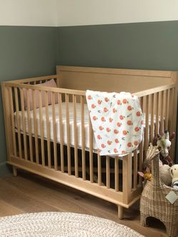 Nash 4-in-1 Convertible Crib + Toddler Kit (Excellent Condition)
