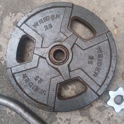 Ez Curl Bar With Weights 