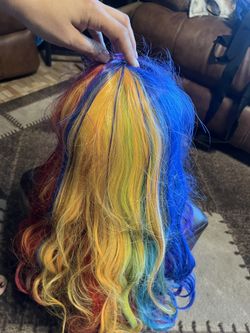 Rainbow Wig