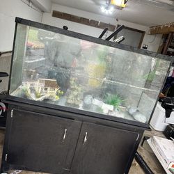 75 Gallon Tank And Stand