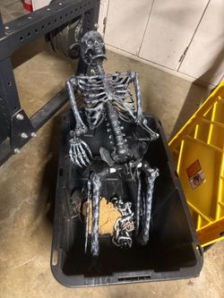 Halloween Decorations