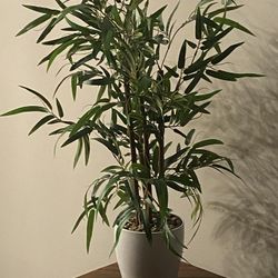 Artificial Bamboo Plant In The Ceramic Pot H32"
