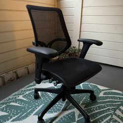 Office Chair (Ergonomic)