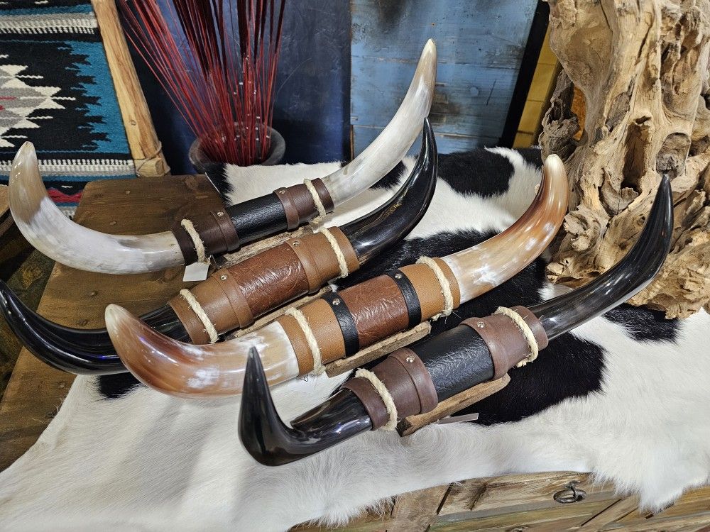 Polished Steer Horns