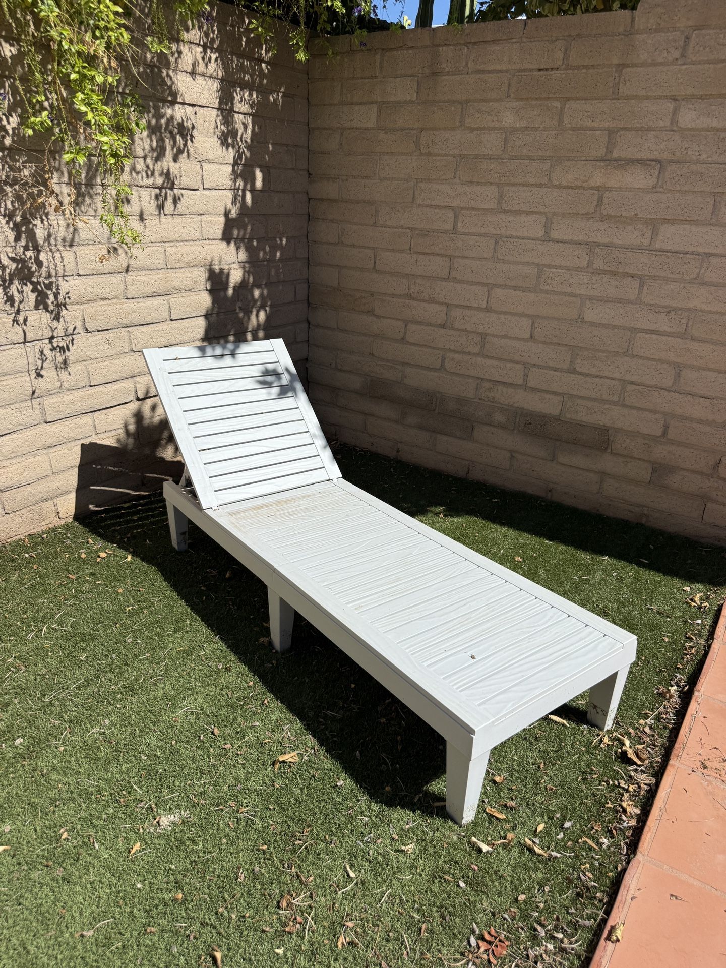 2 lounge pool chairs