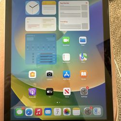 iPad 5th Gen 128Gb 