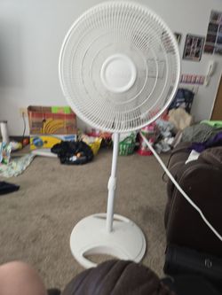 Fan