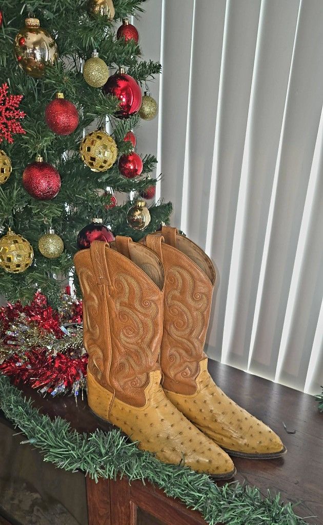 Tony Lama Full Quill Ostrich Boots