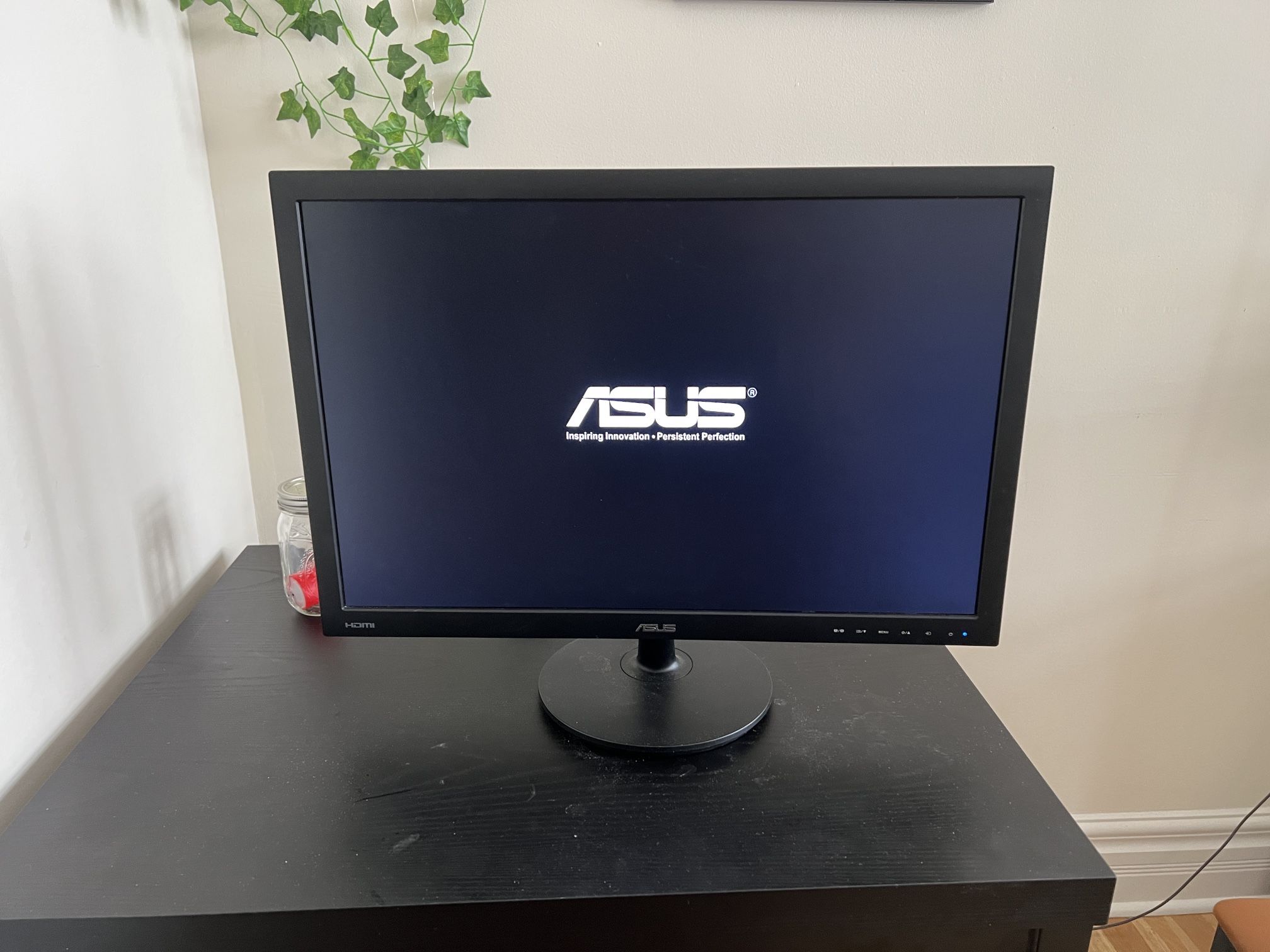 ASUS 24-inch LCD Computer Monitor LIKE NEW