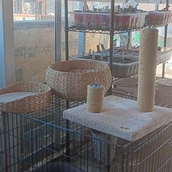 Cat Tower Tree