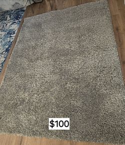 Great Condition Carpet
