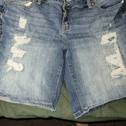 Torrid shorts