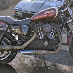 2008 Harley-Davidson Sportster Roadster XL1200R