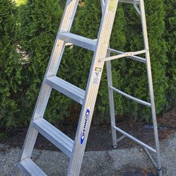 6-footer ladder