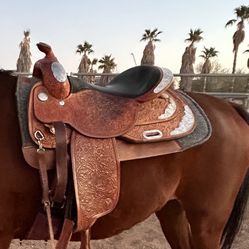 Horse Riding Starter Kit. Western Pleasure Shoe Tack. 