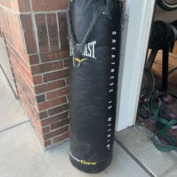 Everlast Boxing Bag